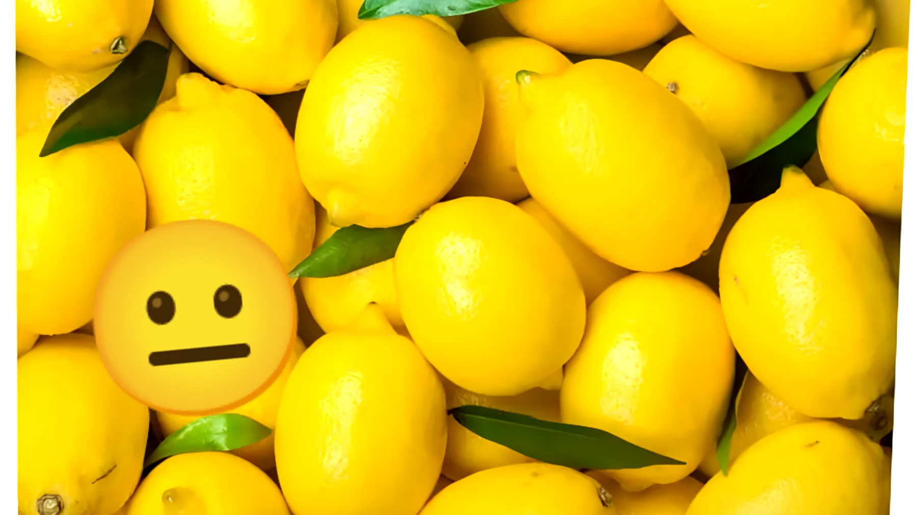 Ecco cosa succede al tuo corpo se mangi limoni tutti i giorni: parola di esperto!